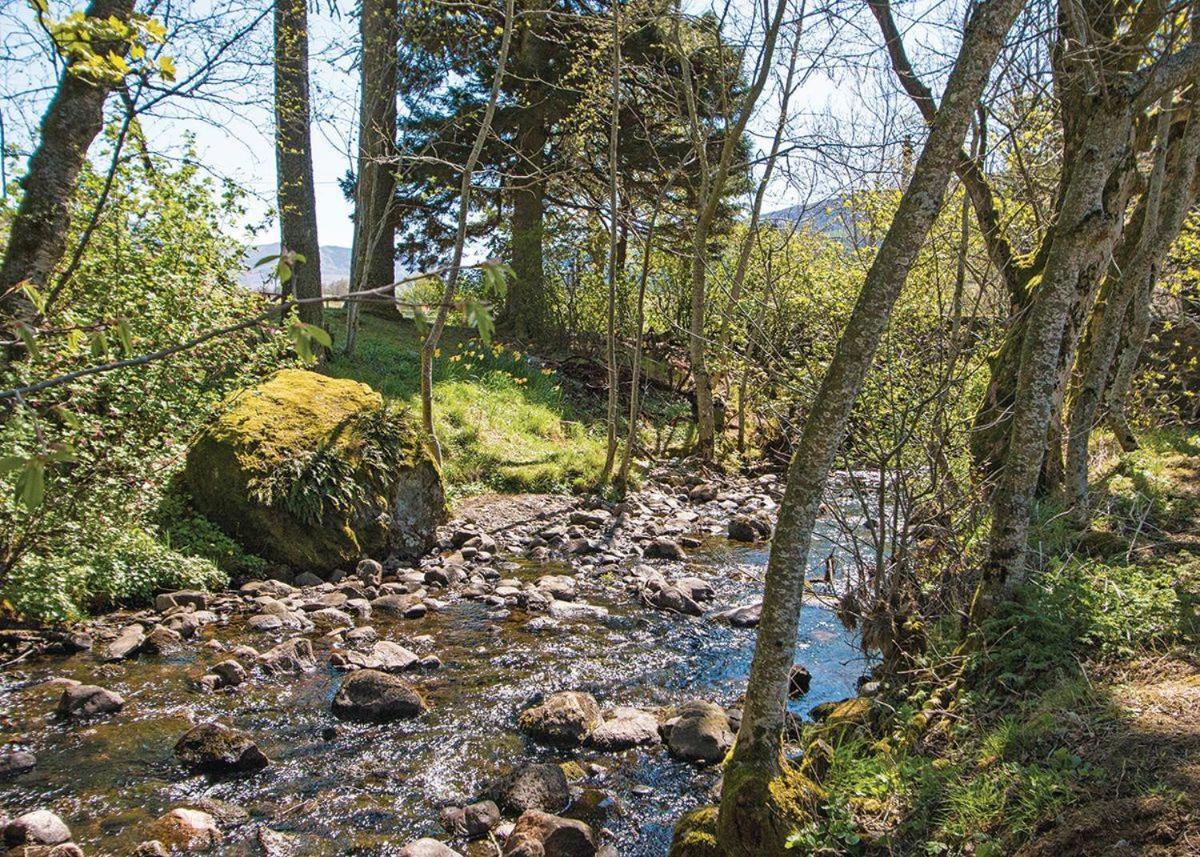 Glen Clova Lodges Inchmill Værelse billede